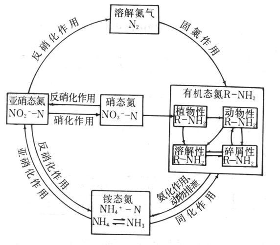 如何判斷自己是否適合養(yǎng)魚，如何判斷自己是否適合養(yǎng)魚——科學(xué)自測(cè)指南（1000字內(nèi)）