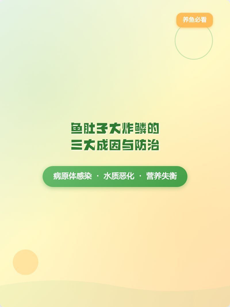 魚炸鱗肚子大怎么辦，炸鱗肚子大能自愈嗎，魚炸鱗肚子大預后如何解決