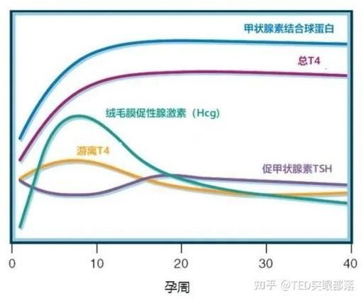 有哪些藥物可以幫助治療魚突眼，“魚突眼”的藥物治療