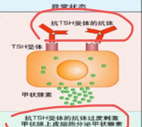 有哪些藥物可以幫助治療魚突眼，“魚突眼”的藥物治療