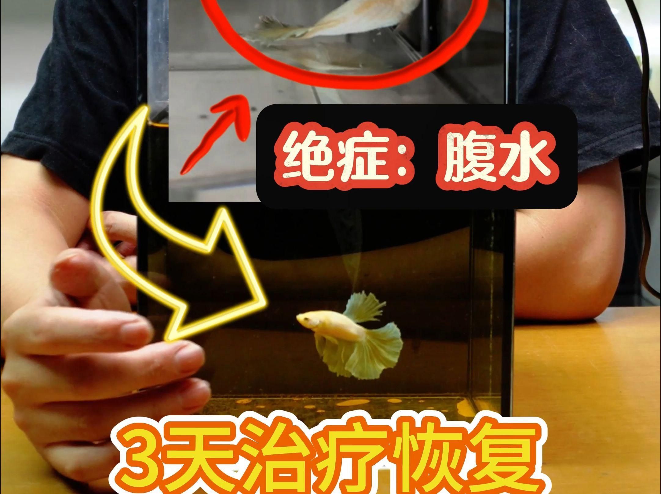 魚炸鱗后多久會恢復，實操3天逆襲治愈率1riverscribe實操3天逆襲治愈率