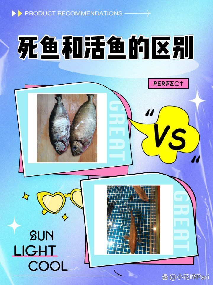如何判斷魚肉是否變質，如何判斷魚肉是否變質，如何判斷魚肉是否變質的跡象