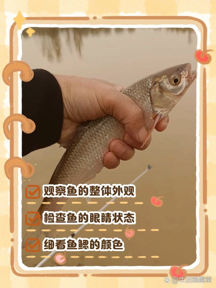如何判斷魚肉是否變質，如何判斷魚肉是否變質，如何判斷魚肉是否變質的跡象