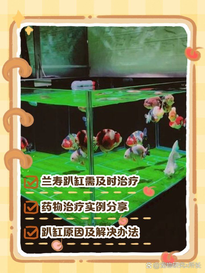 哪些藥物可以有效治療趴缸魚，如何判斷趴缸魚是否患病