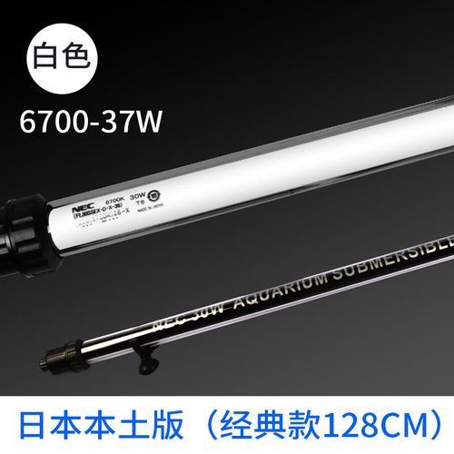 有哪些品牌LED燈適合紅龍，新手入門選擇紅龍魚缸led燈具