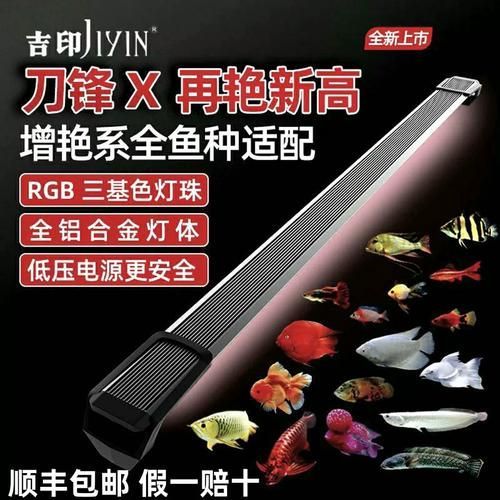 推薦幾款適合紅龍魚的魚缸燈，幾款適合紅龍魚的魚缸燈推薦