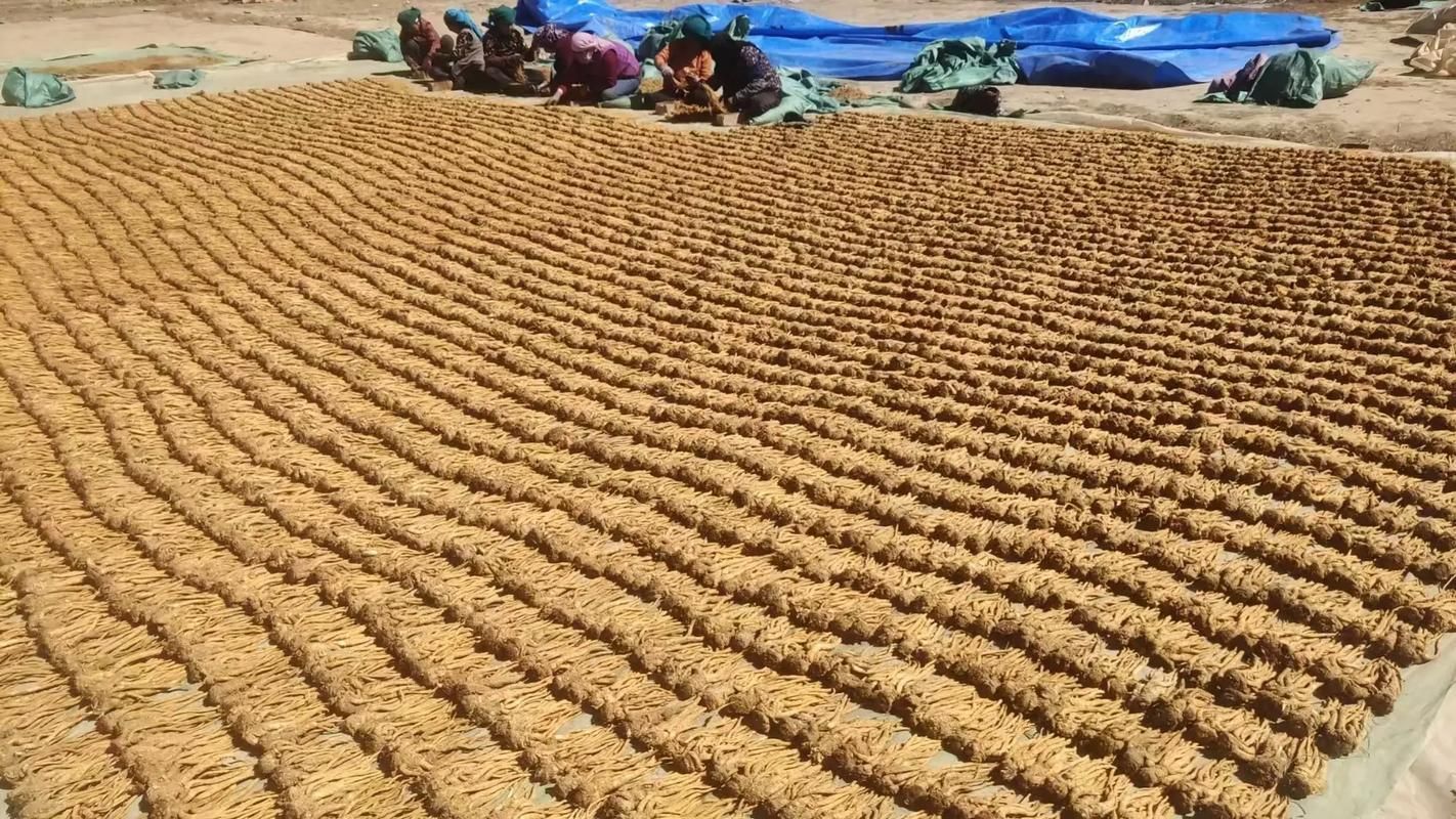 有哪些自然療法可以嘗試，自然療法不能替代醫學治療，但自然療法不能替代醫學