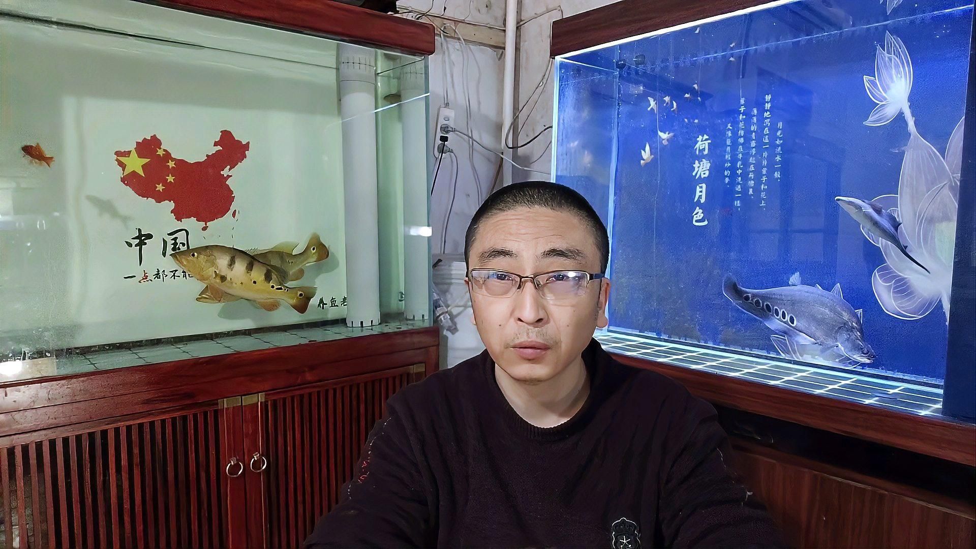 如何判斷魚缸的過濾系統是否足夠，如何判斷魚缸過濾系統是否夠用