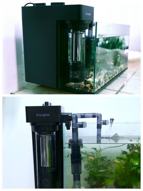 有哪些品牌魚缸過濾系統推薦，金利佳魚缸過濾器過濾器品牌及其優勢推薦及品牌推薦