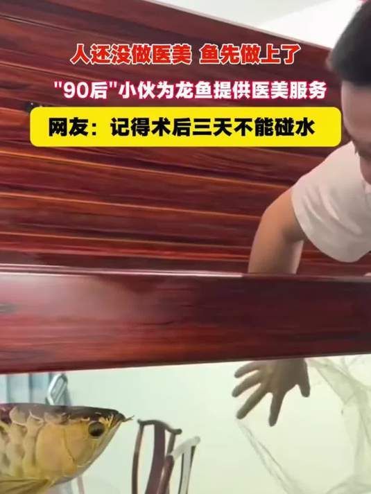 龍魚蒙眼恢復過程視頻，“龍魚蒙眼恢復過程圖解龍魚蒙眼恢復過程圖文說明