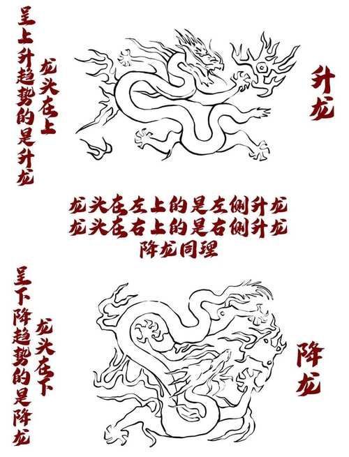 如何區分斯巴沃紅龍的品種，“斯巴沃紅龍”并非真實存在的“斯巴沃紅龍”并非真實存在的生物