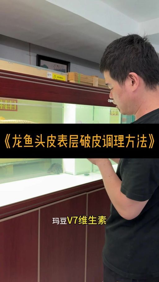 給我一些預(yù)防龍魚打架的圖片，聲東擊西———用銀龍當(dāng)“調(diào)解員”