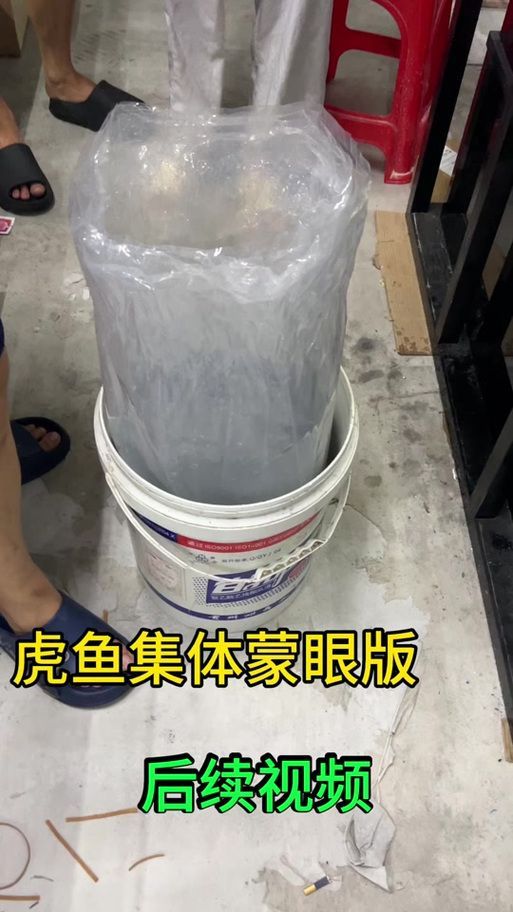 給我一些預(yù)防龍魚打架的圖片，聲東擊西———用銀龍當(dāng)“調(diào)解員”