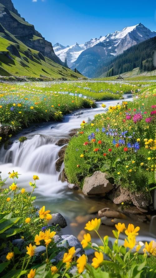 有沒有高清的自然風(fēng)景壁紙推薦，尋找高清自然風(fēng)景壁紙時我推薦使用多個在線資源和應(yīng)用程序