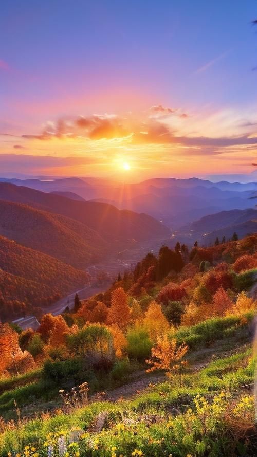 有沒有高清的自然風(fēng)景壁紙推薦，尋找高清自然風(fēng)景壁紙時我推薦使用多個在線資源和應(yīng)用程序