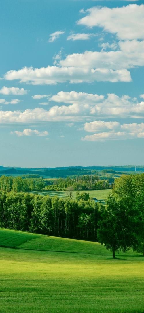 有沒有高清的自然風(fēng)景壁紙推薦，尋找高清自然風(fēng)景壁紙時我推薦使用多個在線資源和應(yīng)用程序