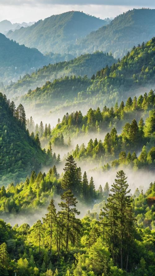 有沒有高清的自然風(fēng)景壁紙推薦，尋找高清自然風(fēng)景壁紙時我推薦使用多個在線資源和應(yīng)用程序