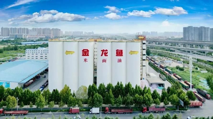 央視報道過金龍魚的哪些具體事跡，央視關于金龍魚的報道