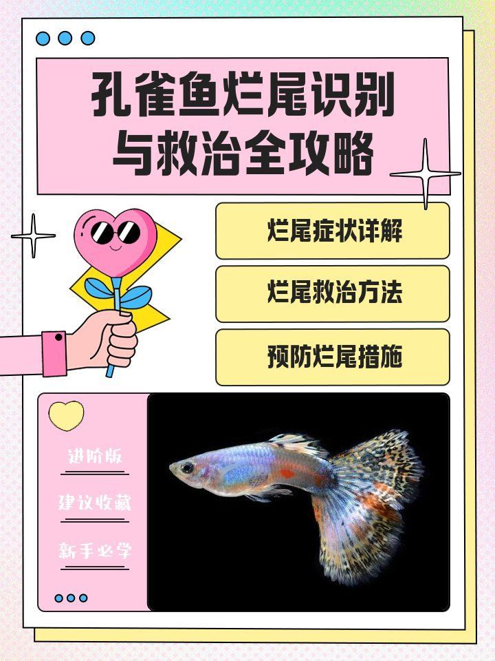 如何判斷魚爛尾是否嚴(yán)重，中考完成arxiv論文助手arxiv論文助手檢索是否嚴(yán)重