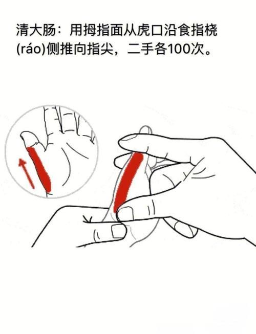 如何正確抓握龍貓，新手如何正確抓握龍貓