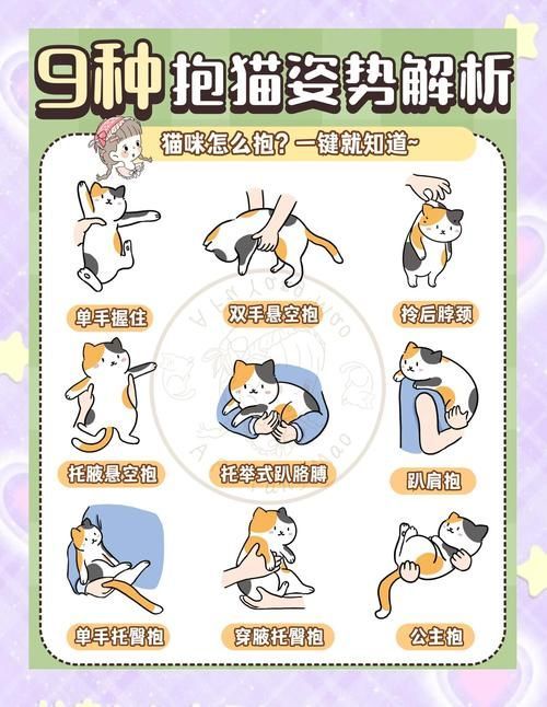 如何正確抓握龍貓，新手如何正確抓握龍貓