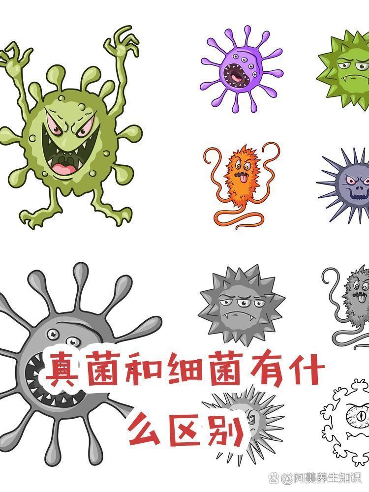 真菌感染和細菌感染如何區分，張明軒健康講堂張明軒健康講堂張明軒健康講堂張明軒