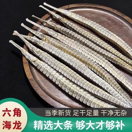哪里可以買到正宗的海龍魚？，如何挑選正宗的海龍魚
