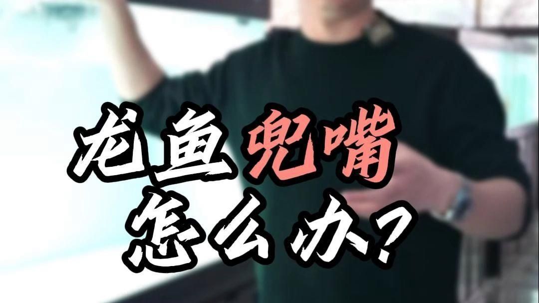 有哪些龍魚品種容易長兜嘴？，專業(yè)戶本人，龍魚兜嘴怎么辦