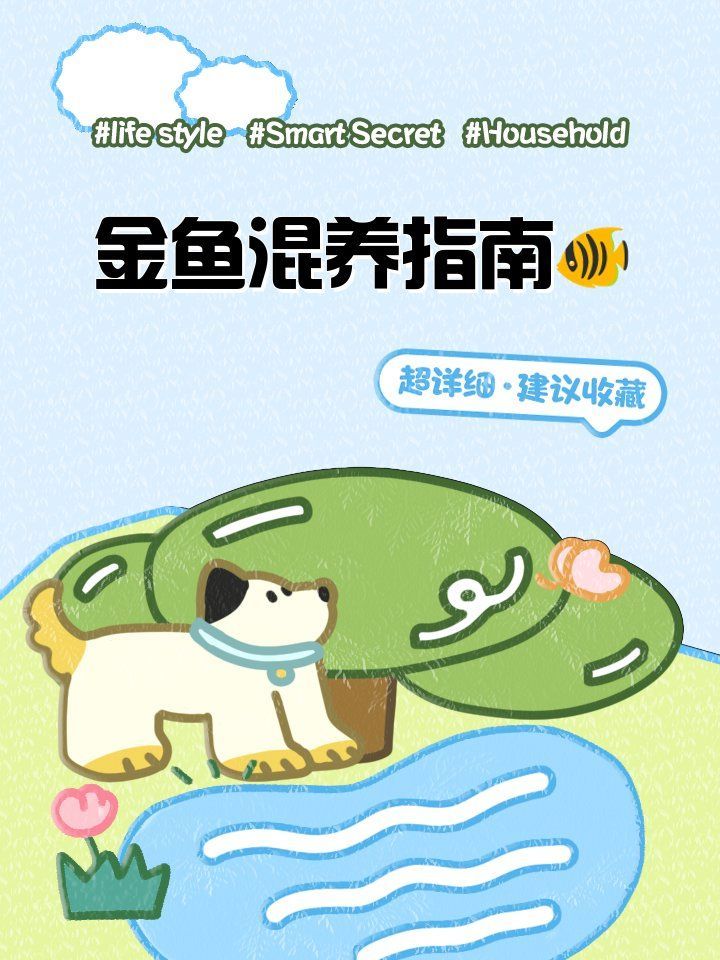 共養(yǎng)魚種時(shí)需要注意哪些事項(xiàng)，共養(yǎng)觀賞魚的注意事項(xiàng)