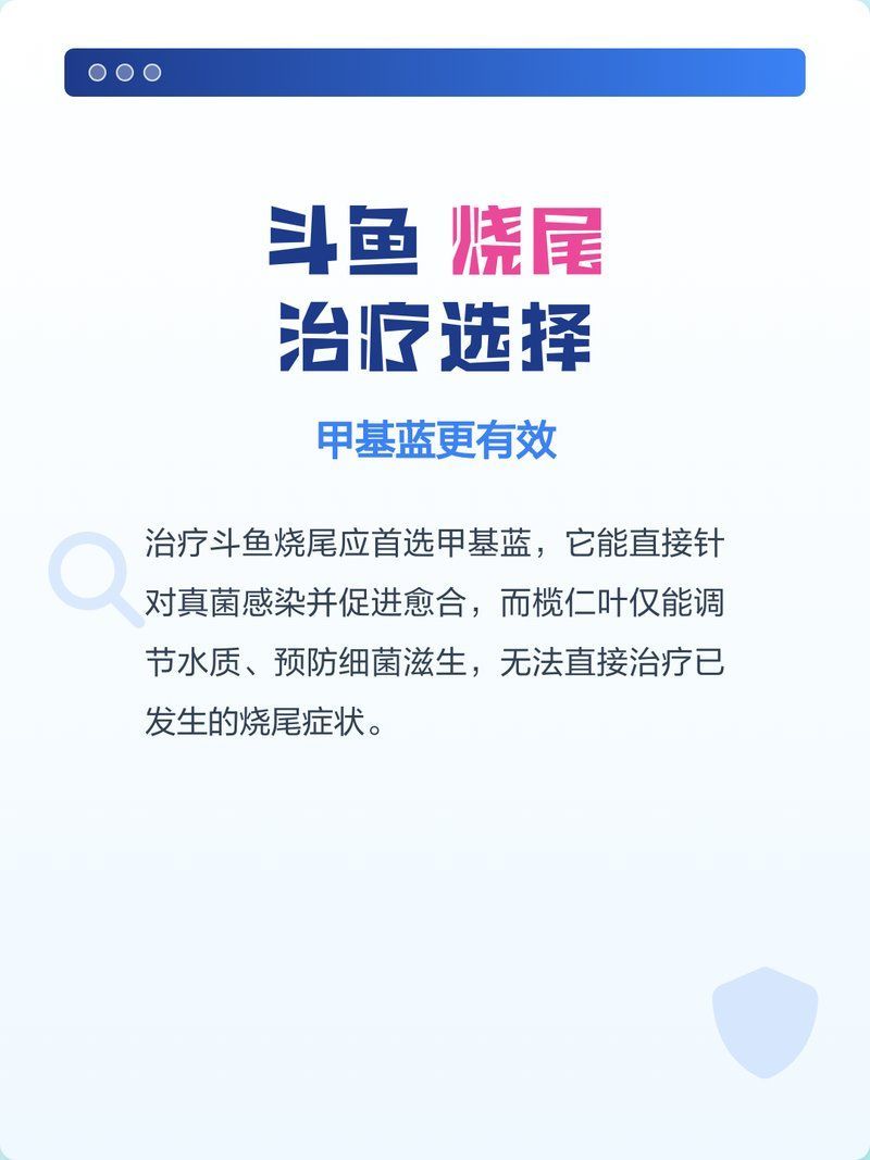 有哪些藥物可以治療燒尾，斗魚燒尾如何處理