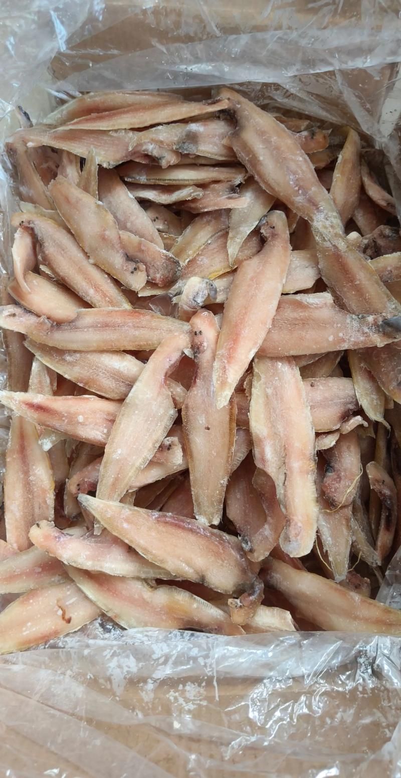 小龍魚的市場價格是多少？，小龍魚的價格一般多少錢？
