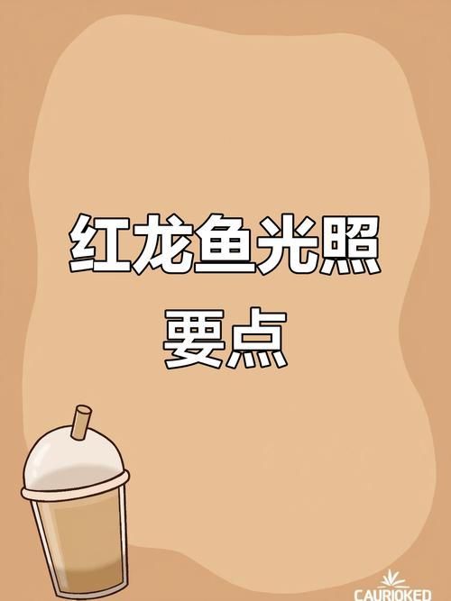 推薦幾款適合紅龍的開燈設備，天一閣水族專營店，如何選擇適合紅龍的開燈設備