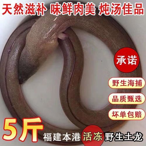 哪里可以購買到新鮮的杜龍魚？，如何辨別杜龍魚是否新鮮？