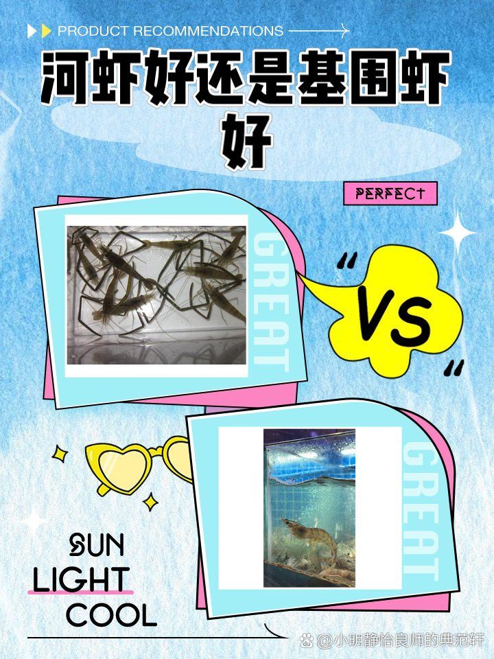 河蝦和基圍蝦哪個更適合龍魚？，基圍蝦和河蝦哪個更便宜，