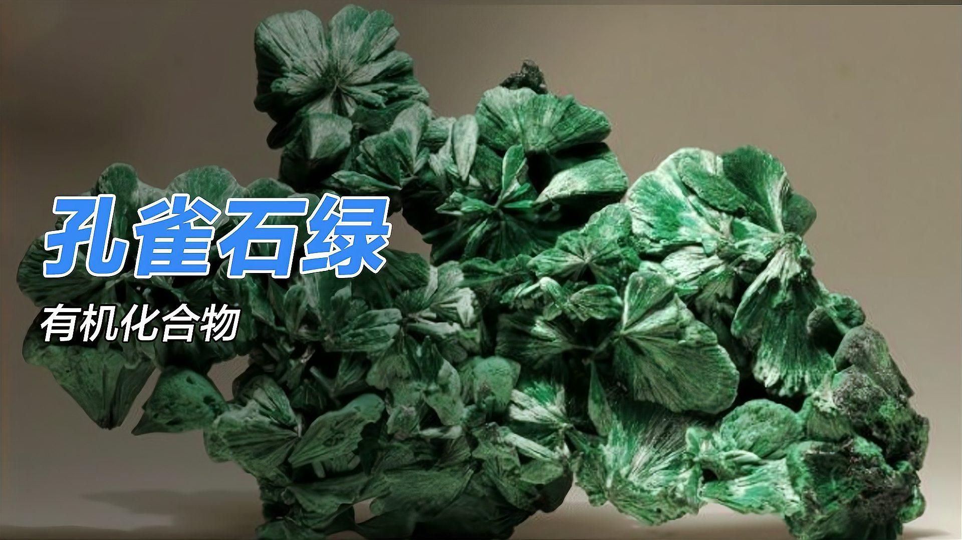 孔雀石綠為何會被禁用，孔雀石綠為什么被禁用