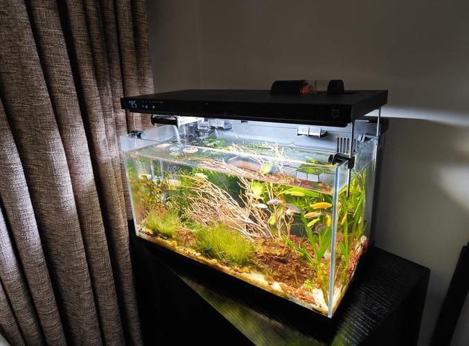 iwish魚缸有哪些型號？，iwish品牌魚缸型號及牌子