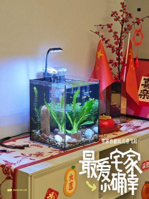 iwish魚缸有哪些型號？，iwish品牌魚缸型號及牌子