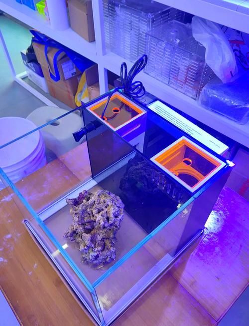 iwish魚缸有哪些型號？，iwish品牌魚缸型號及牌子