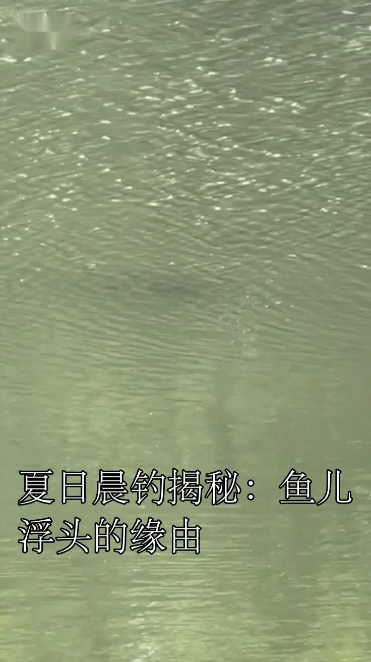魚塘早上魚都浮頭正常嗎，魚塘早上浮頭正常嗎？
