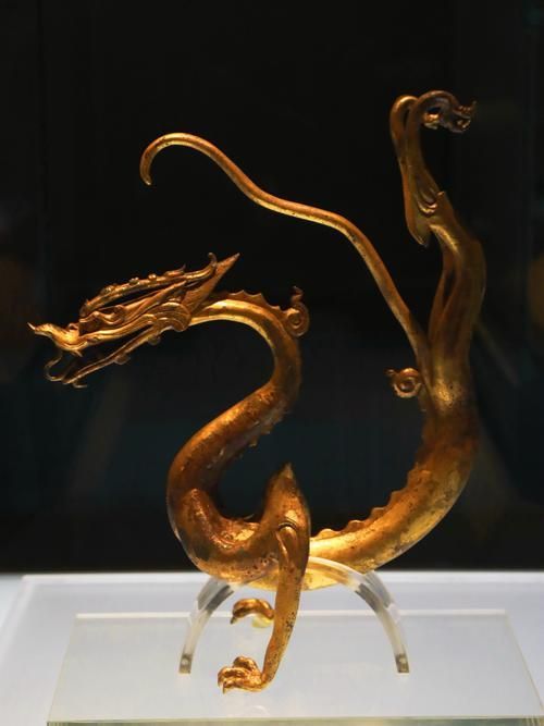 金頭金龍和古典金龍哪個更有收藏價值，金頭金龍和古典金龍哪個更稀有