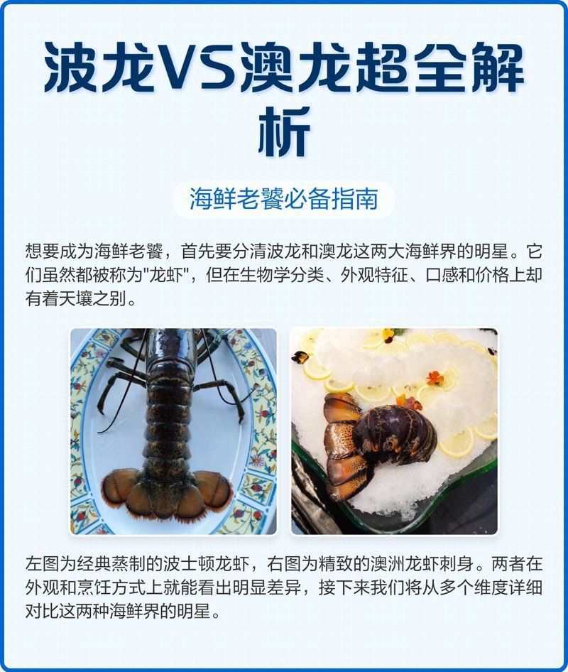 如何區分真假澳龍，權威海洋生物鑒別真假澳龍vs澳洲龍蝦（panulirusornatus或jasusedwardsii）