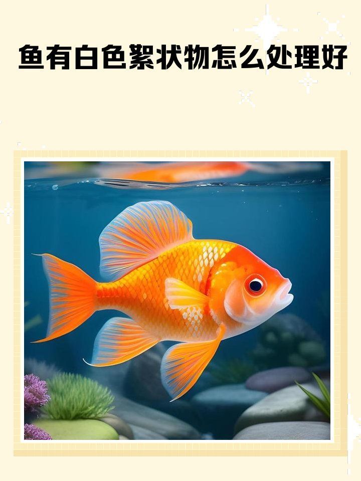 治療龍魚鰓蓋白色絮狀物有哪些方法，如何判斷龍魚身上有白色絮狀物會自行消失嗎