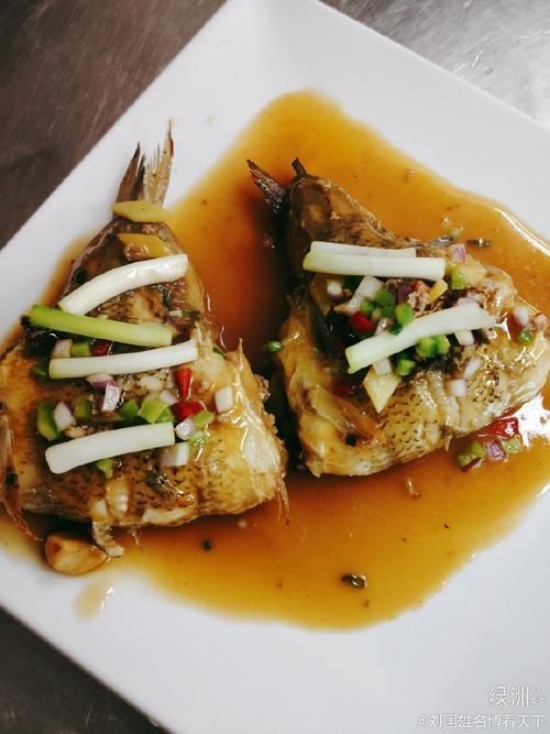 奎龍魚的市場價格，奎龍魚價格詳解