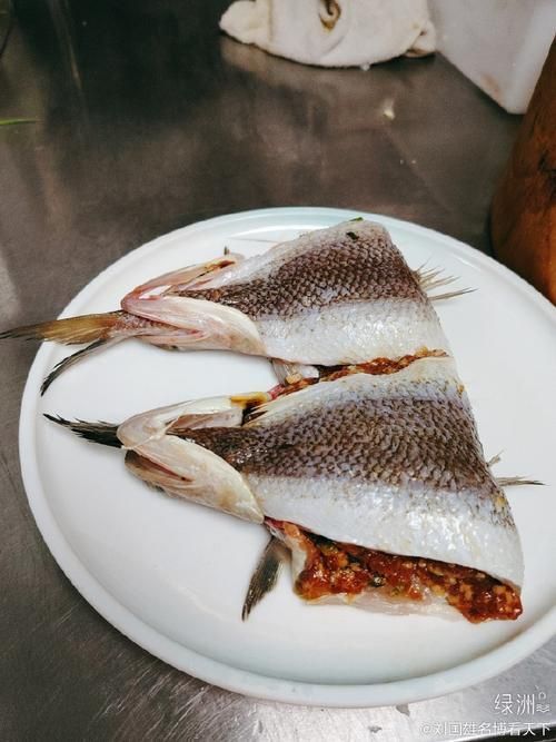 奎龍魚的市場價格，奎龍魚價格詳解