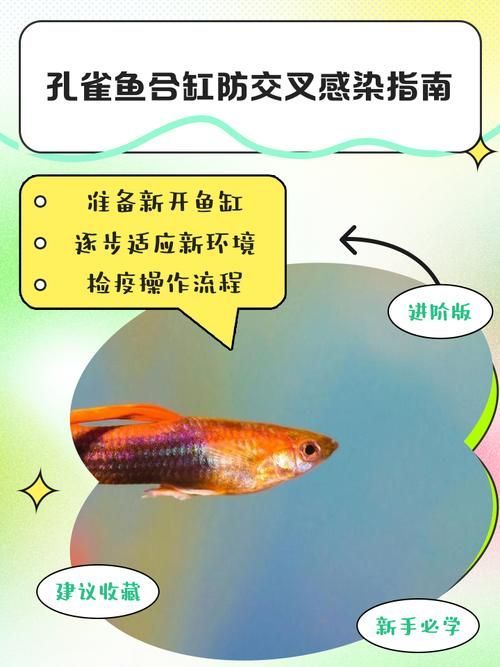 合缸交叉感染如何治療，合缸交叉感染