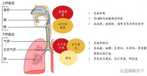 合缸交叉感染如何治療，合缸交叉感染