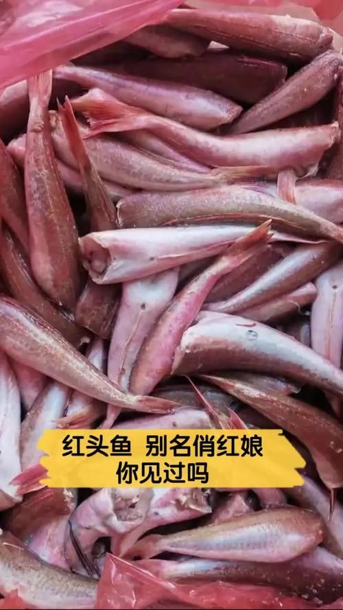 紅頭魚的市場價格是多少，紅頭魚市場供應量如何挑選紅頭魚的家常做法清單