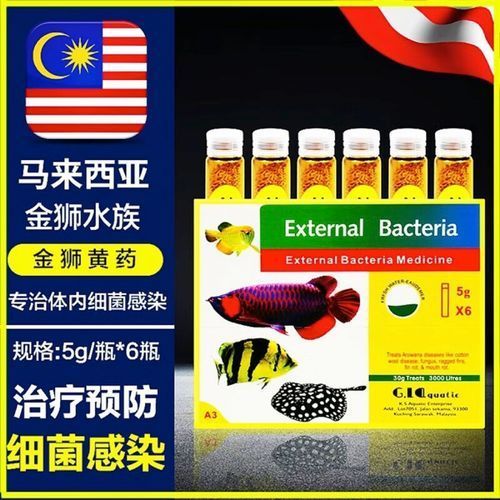 給我一些預防龍魚魚鰭充血的圖片，如何判斷龍魚是否貧血，