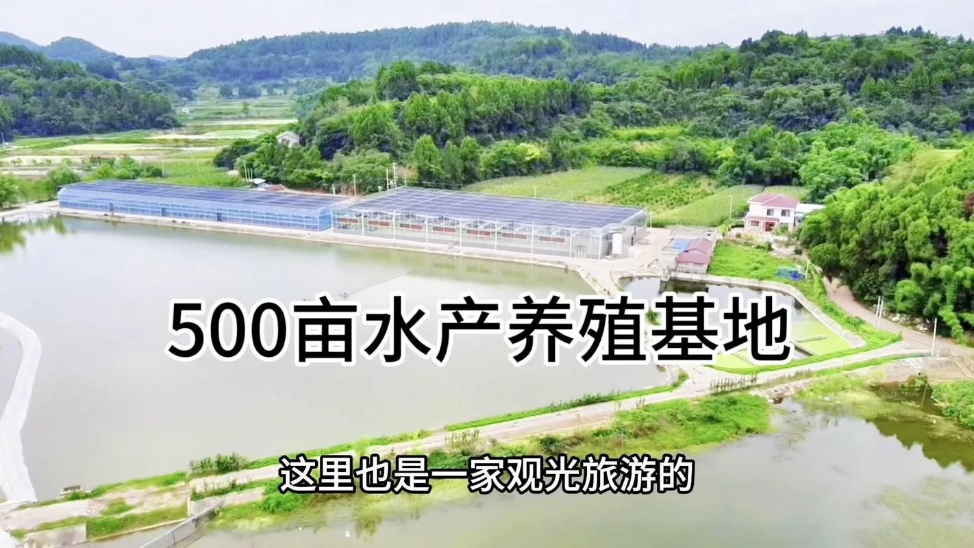 酒泉市未來(lái)有計(jì)劃引進(jìn)龍魚(yú)養(yǎng)殖嗎？，酒泉市未來(lái)計(jì)劃引進(jìn)龍魚(yú)養(yǎng)殖