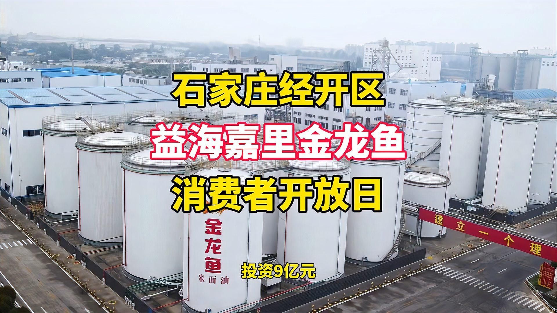 金龍魚生產(chǎn)基地哪個環(huán)境最好，哈爾濱金龍魚生產(chǎn)基地